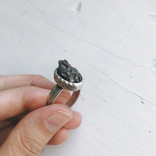 Handmade Oval Raw Meteorite Ring in Silver
