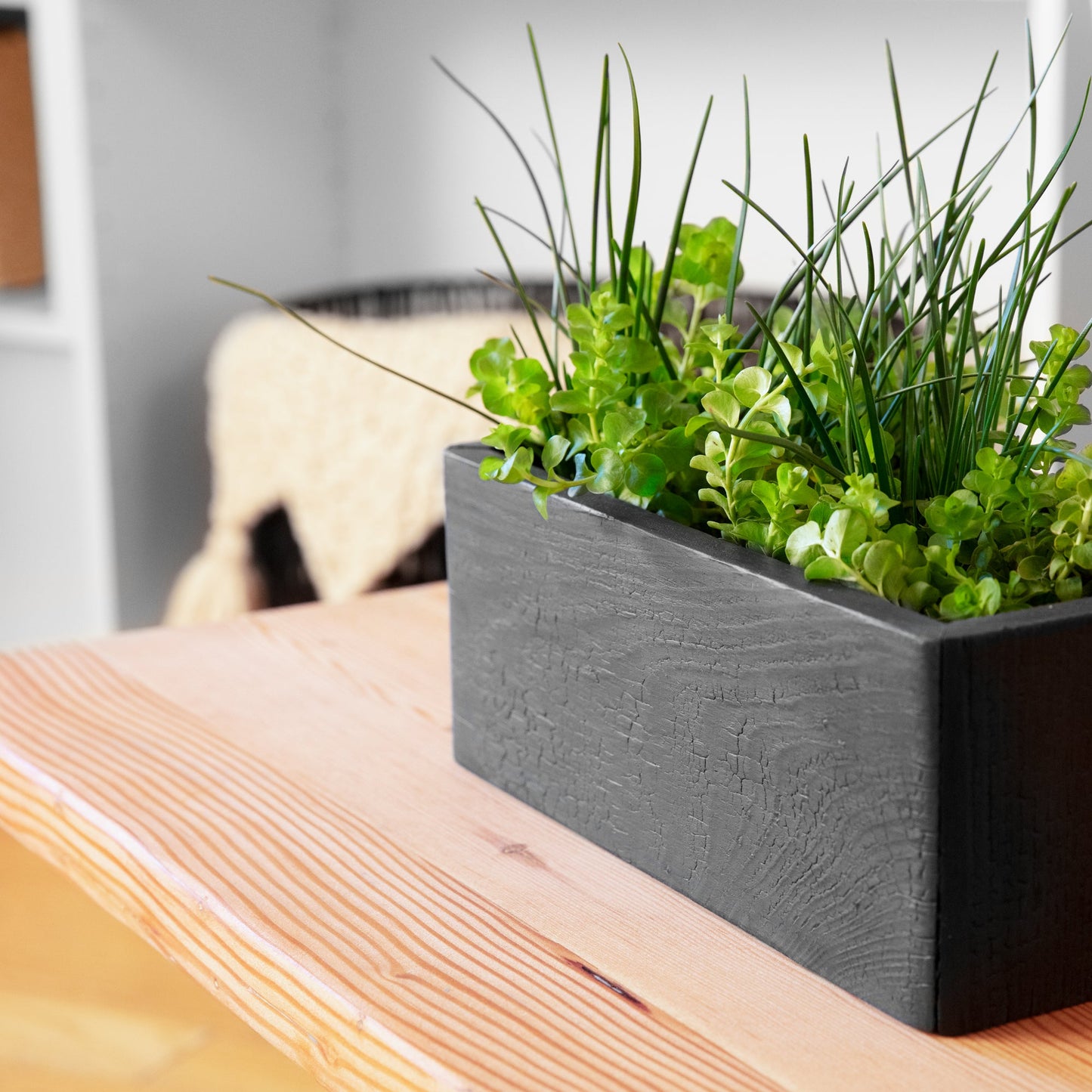 VegeTABLE Side Table