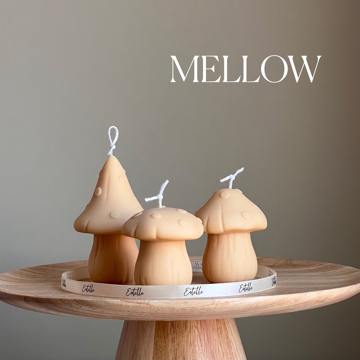 Mushroom Candle Set | Soy Wax Home Decor-3