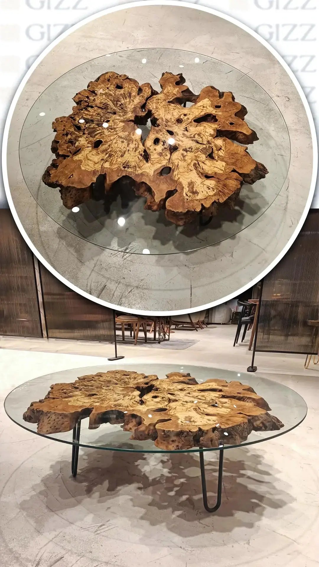 Olive Wood | Rustic Coffee Table | Glass Top